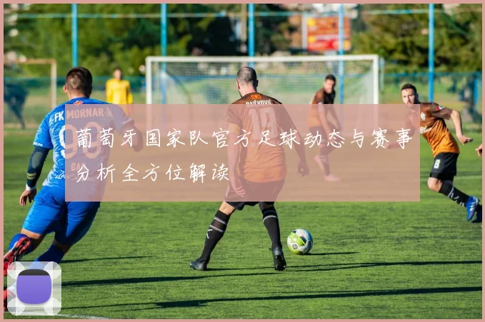 葡萄牙国家队官方足球动态与赛事分析全方位解读