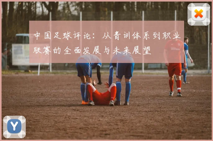 中国足球评论：从青训体系到职业联赛的全面发展与未来展望