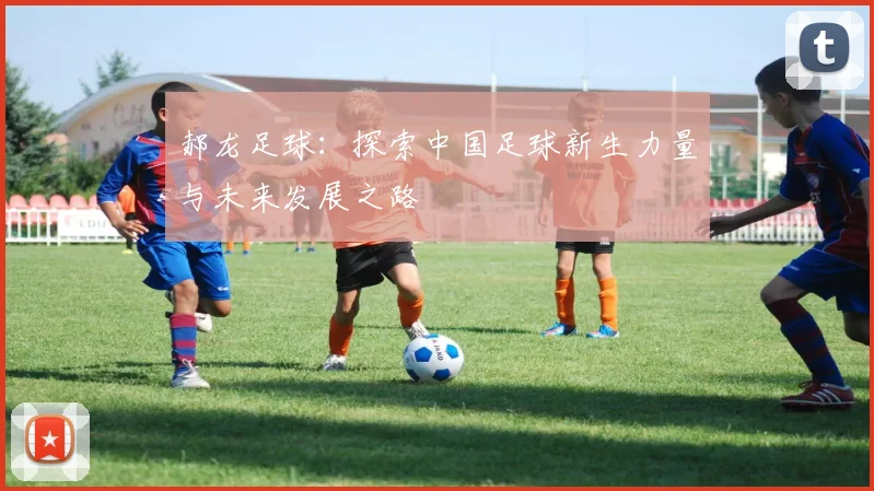 郝龙足球：探索中国足球新生力量与未来发展之路